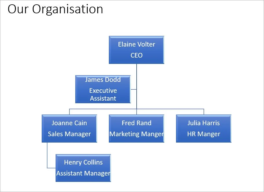 Our Org chart: Elaine Volter (CEO), James Dodd (Executive Assistant). Managers for Sales (with Assistant), Marketing, and HR.